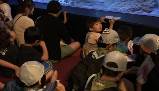 海の生き物を知る