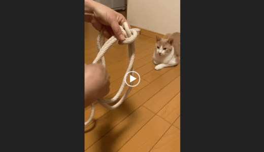 チキチキ班対抗 おうちで進級課目どれだけできるかな大会！！