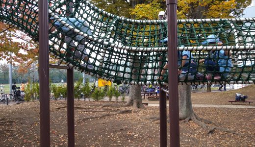 近所の公園の達人になろう！