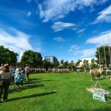 地区スカウト集会