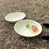 ミニうんどうかい！