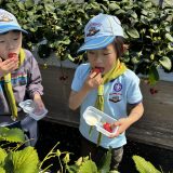 あかくて、あまくて、すっぱくて？？