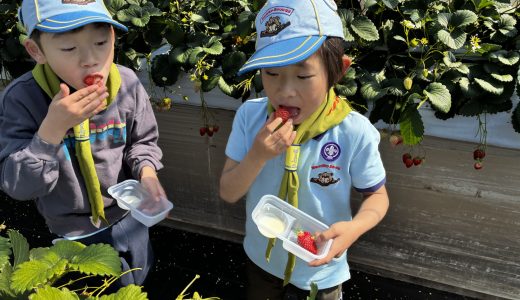 あかくて、あまくて、すっぱくて？？